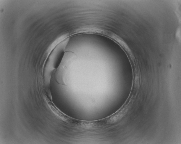 X0000083561242200702231555