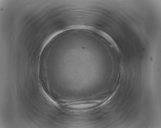 X0000083561244200702231555