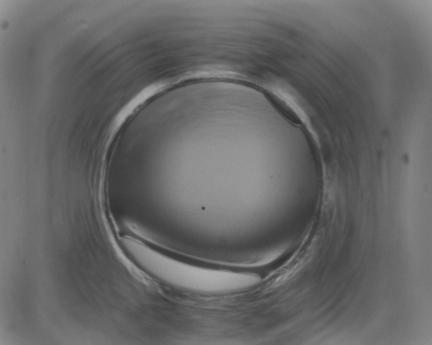 X0000083561245200702231555