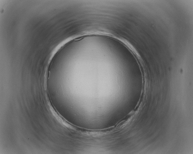 X0000083561246200702231555