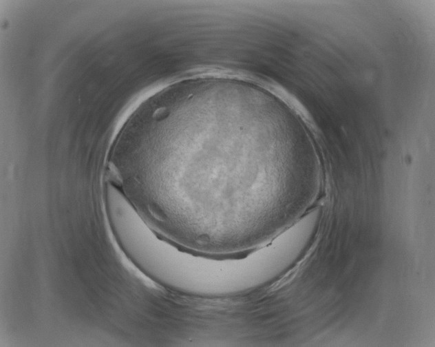 X0000083561247200702231555