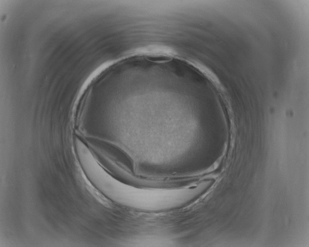 X0000083561248200702231555