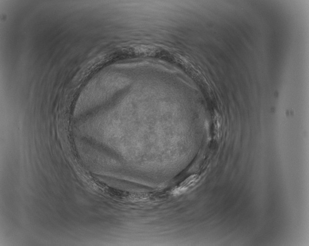 X0000083561249200702231554