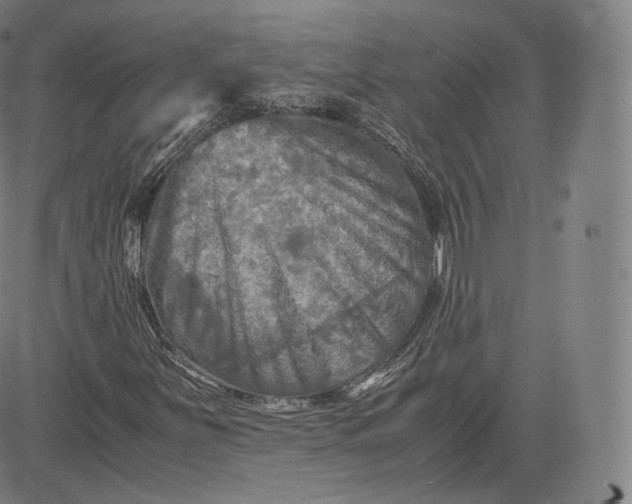 X0000083561251200702231554