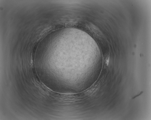 X0000083561252200702231554