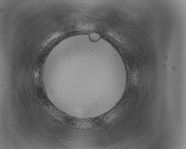 X0000083561254200702231554