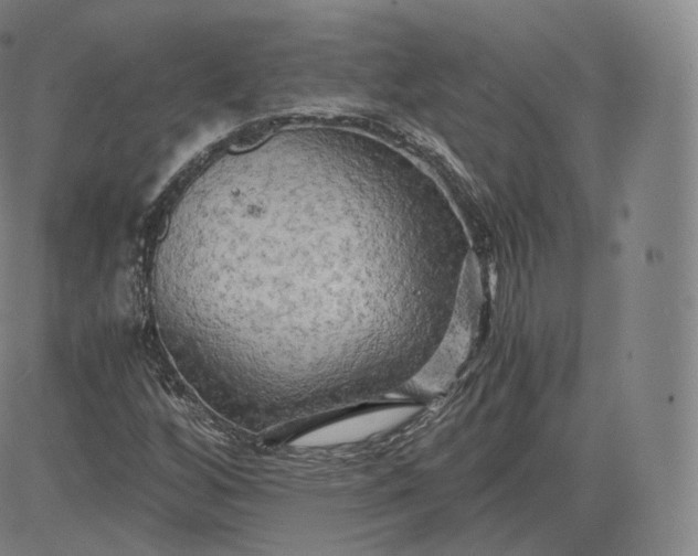 X0000083561256200702231554