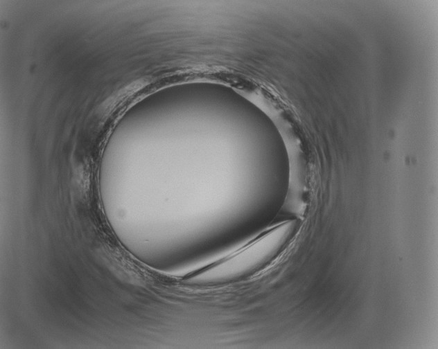 X0000083561257200702231554