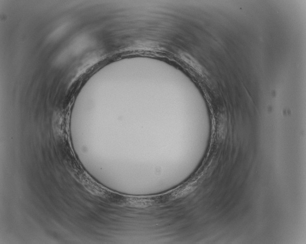 X0000083561258200702231554