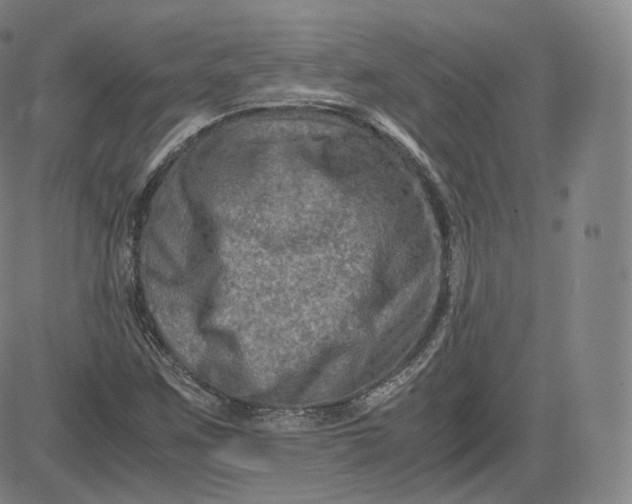 X0000083561259200702231554