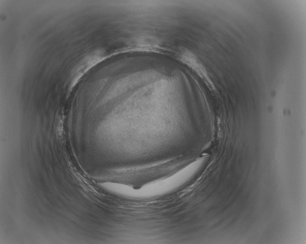 X0000083561260200702231554