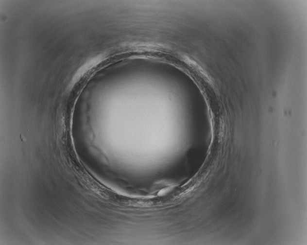 X0000083561261200702231554