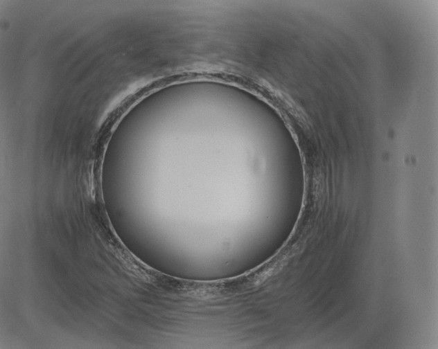 X0000083561262200702231554