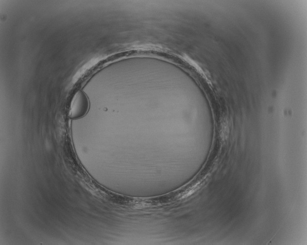 X0000083561263200702231554