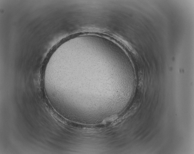 X0000083561264200702231554