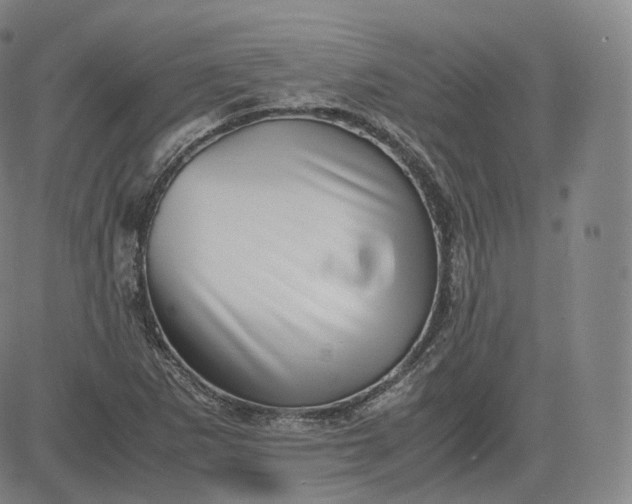 X0000083561265200702231554