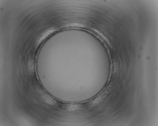 X0000083561266200702231554