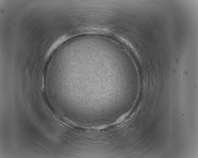 X0000083561267200702231554