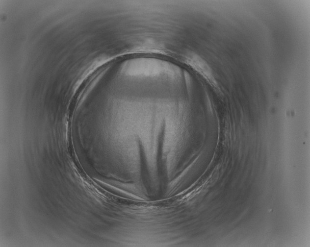 X0000083561268200702231554