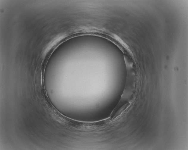 X0000083561269200702231554