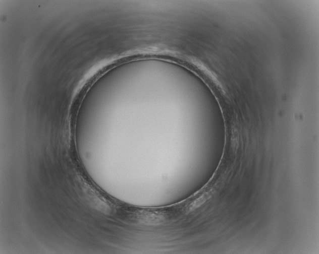 X0000083561270200702231554