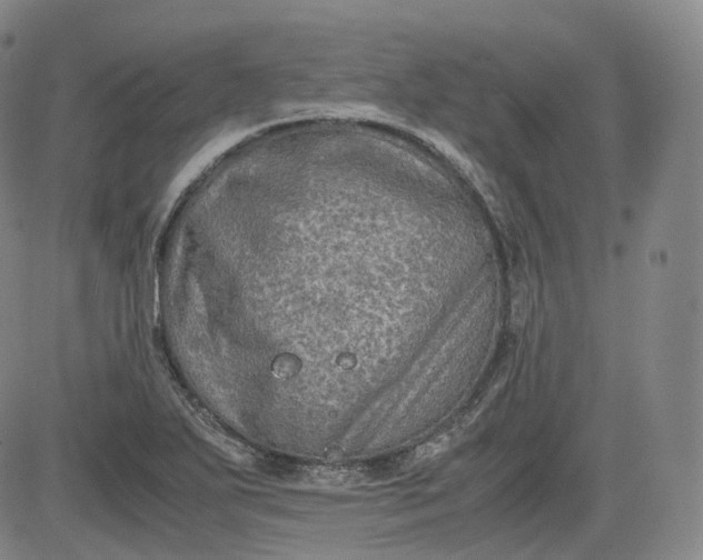 X0000083561271200702231554