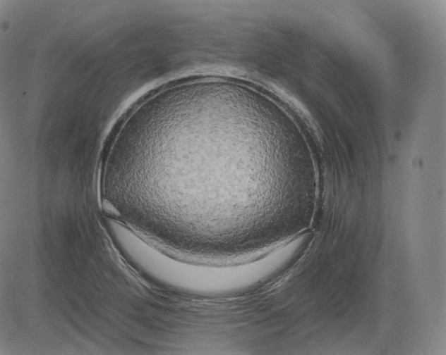 X0000083561272200702231554