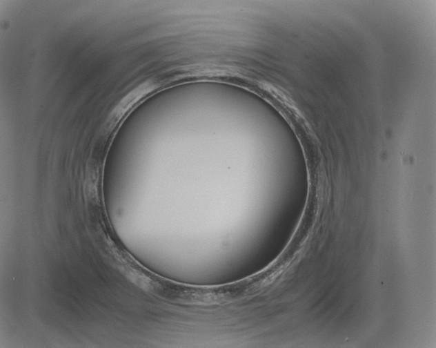 X0000083561273200702231554