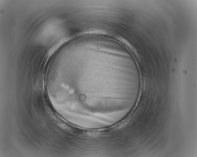 X0000083561274200702231554