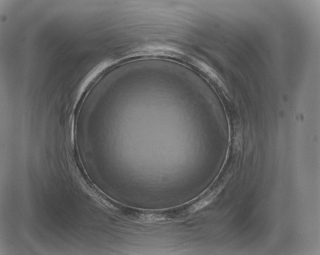 X0000083561275200702231554