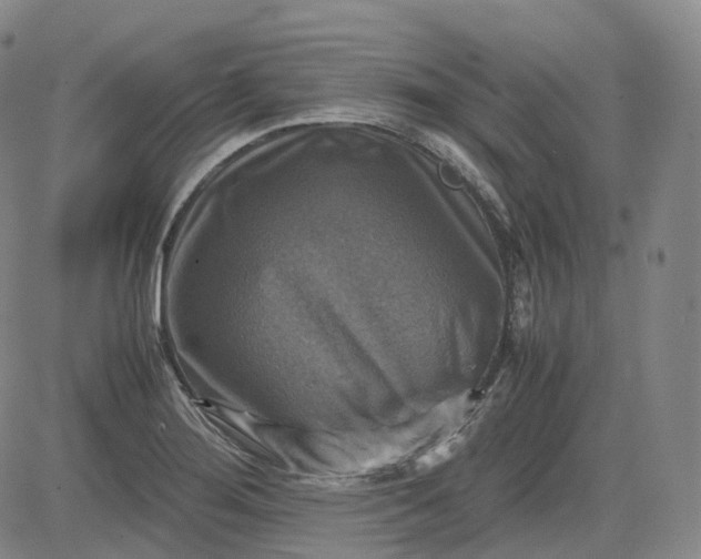 X0000083561276200702231554