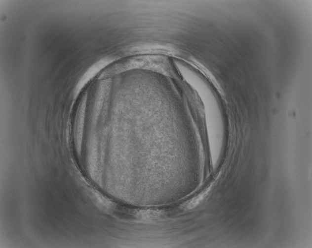 X0000083561277200702231554