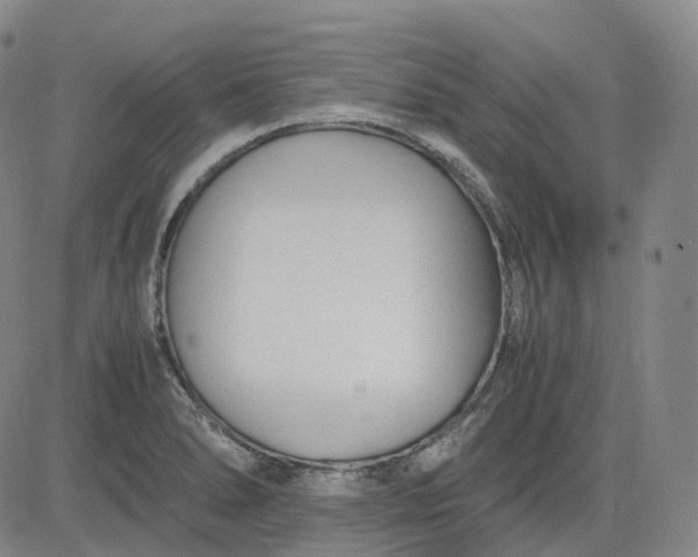 X0000083561278200702231554