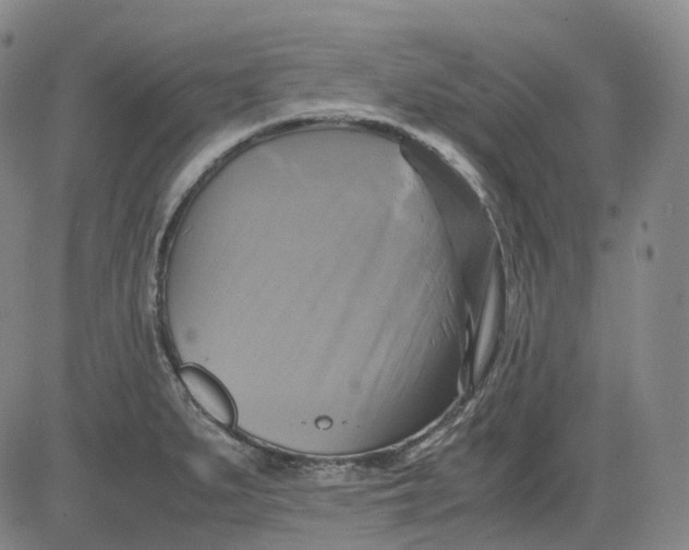 X0000083561279200702231554