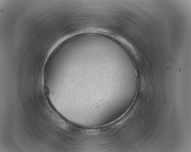 X0000083561280200702231554