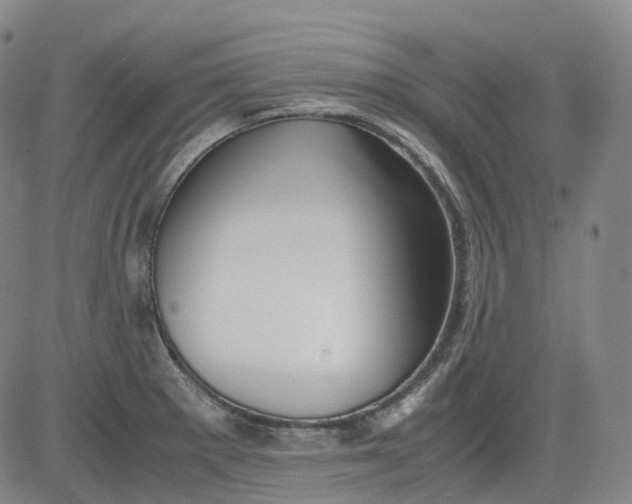 X0000083561281200702231554