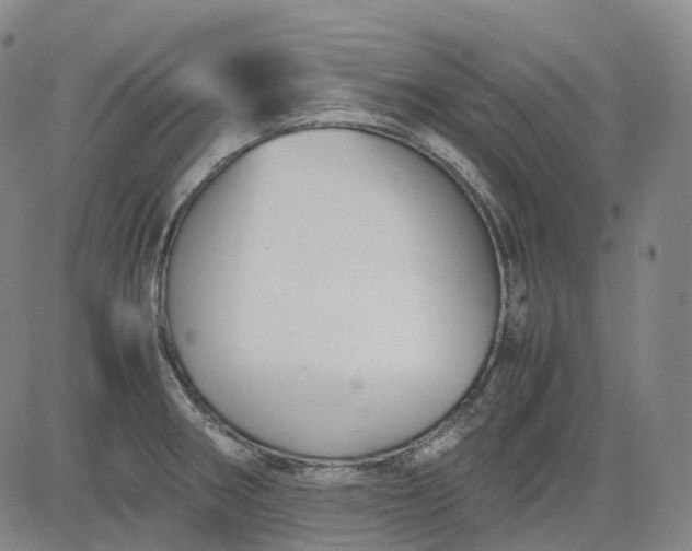 X0000083561282200702231554