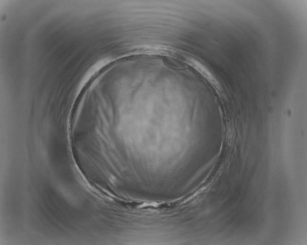 X0000083561283200702231554