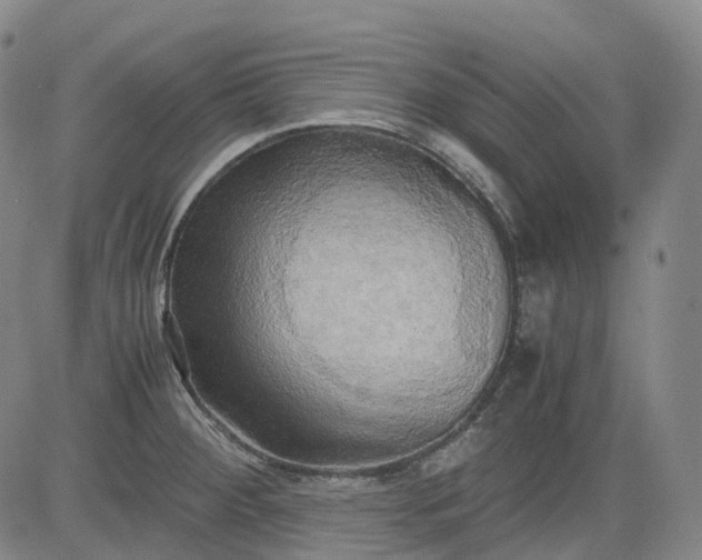 X0000083561284200702231554