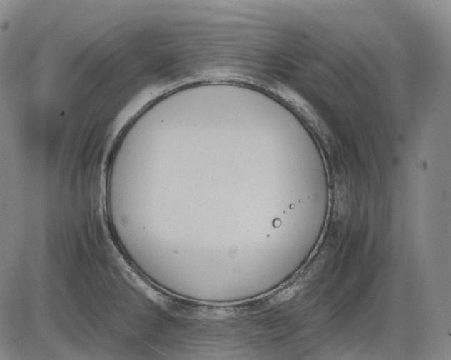 X0000083561286200702231554