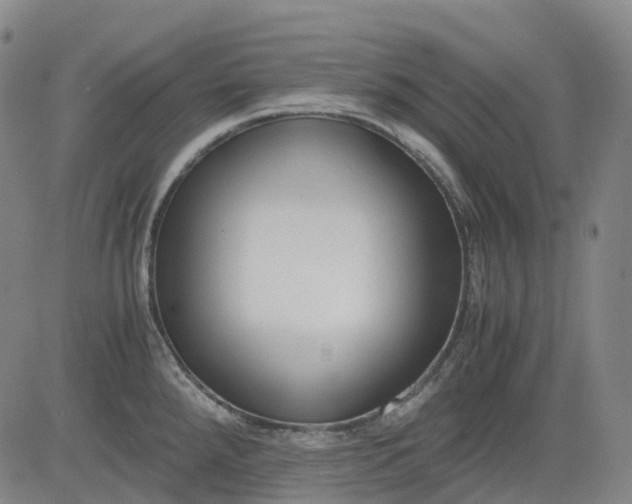 X0000083561288200702231553