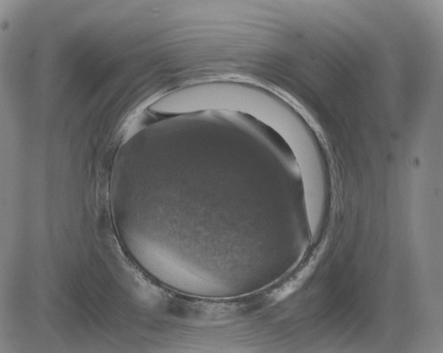 X0000083561289200702231553