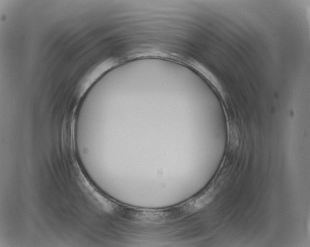 X0000083561290200702231553