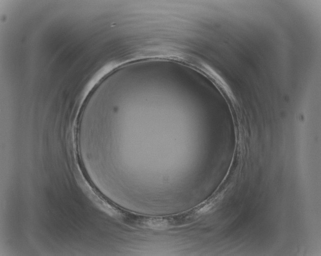 X0000083561291200702231553