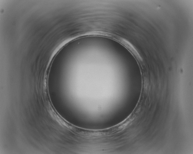 X0000083561292200702231553