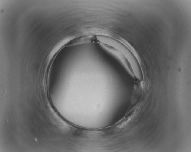 X0000083561293200702231553