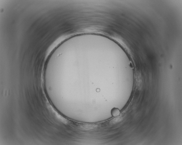 X0000083561294200702231553