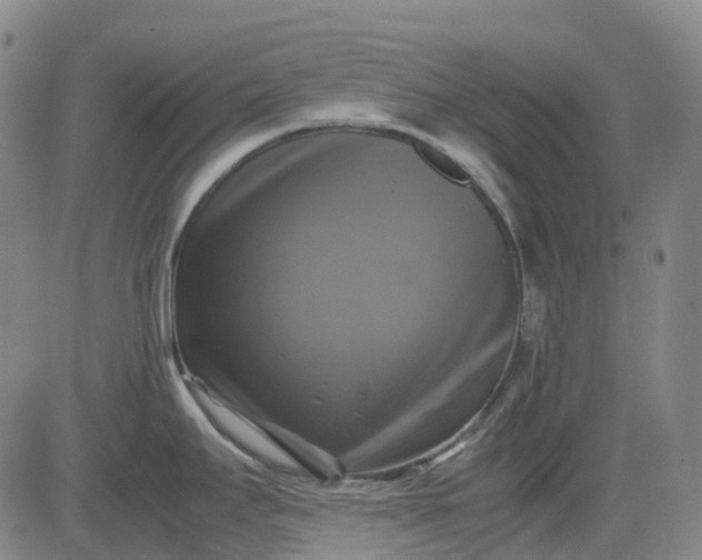 X0000083561295200702231553