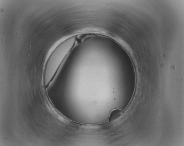 X0000083561296200702231553