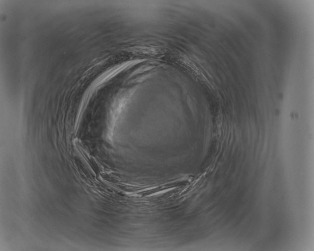 X0000083561297200702231553